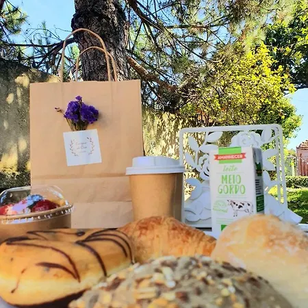 Πανσιόν Alegria Garden 3*